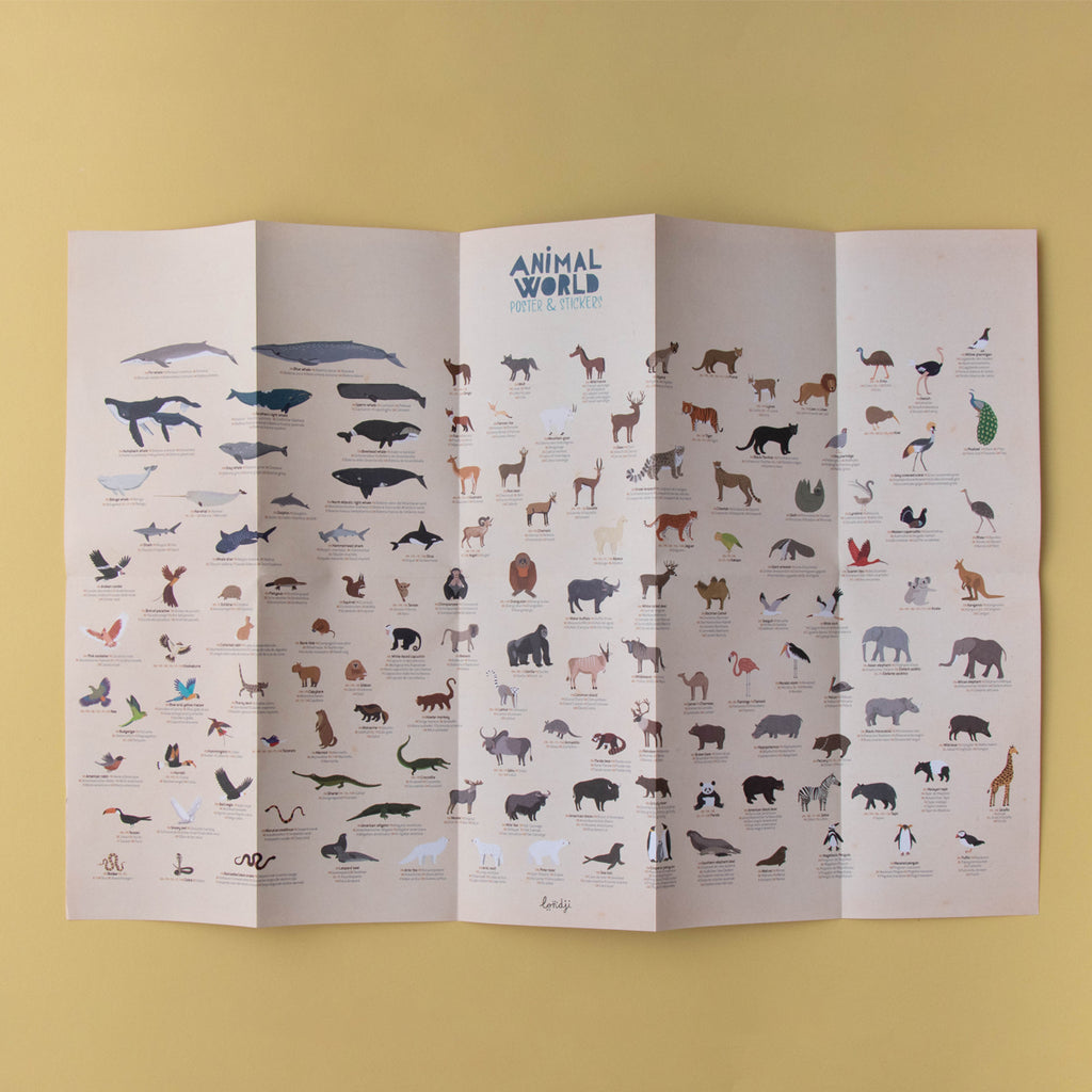 Folded Londji Animal World poster with various illustrated animals labeled with names in multiple languages.