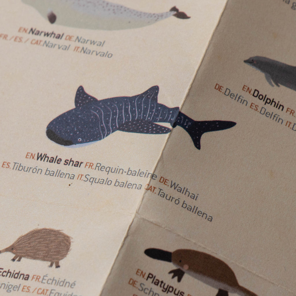 Close-up of Londji Animal World poster focusing on a whale shark illustration with multilingual labels.