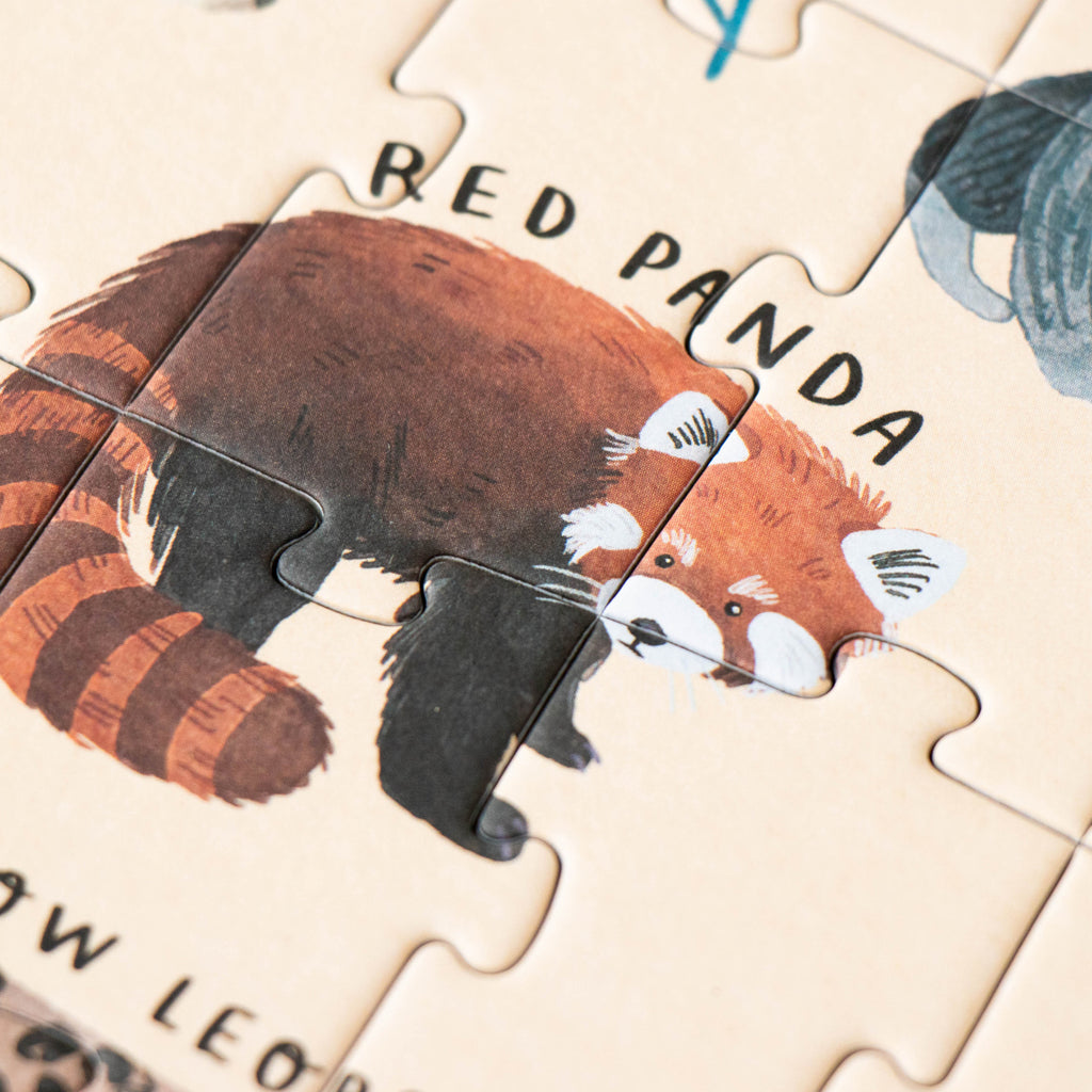 Close-up of a panda’s face from the "LIFE" puzzle.